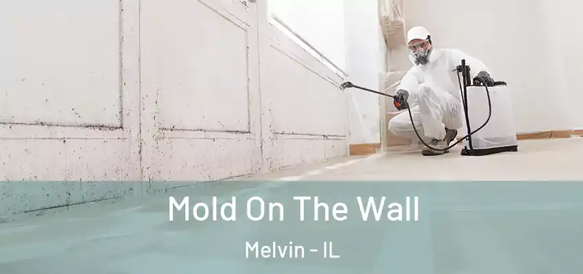  Mold On The Wall Melvin - IL