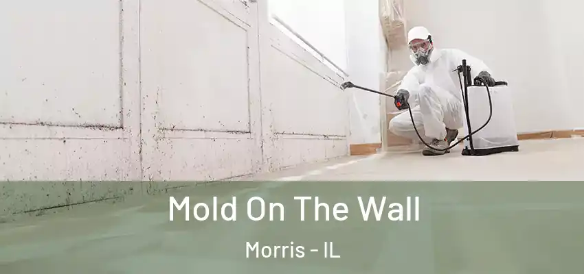  Mold On The Wall Morris - IL