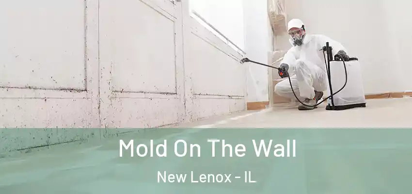  Mold On The Wall New Lenox - IL