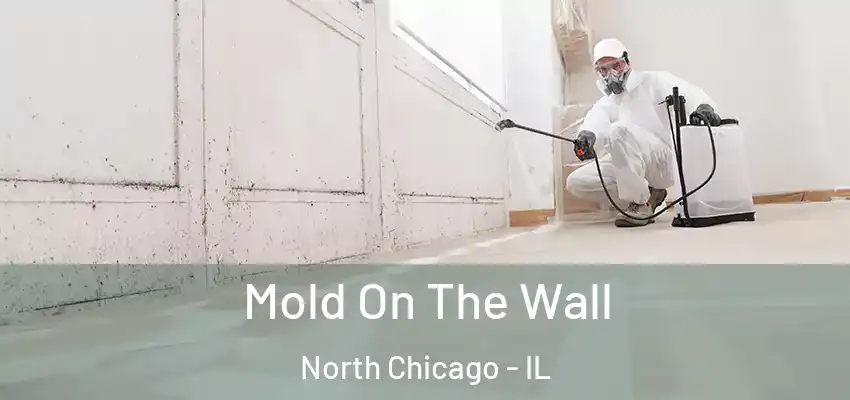 Mold On The Wall North Chicago - IL