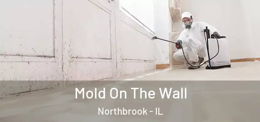  Mold On The Wall Northbrook - IL