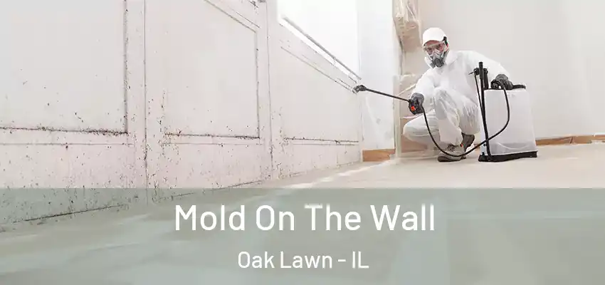  Mold On The Wall Oak Lawn - IL