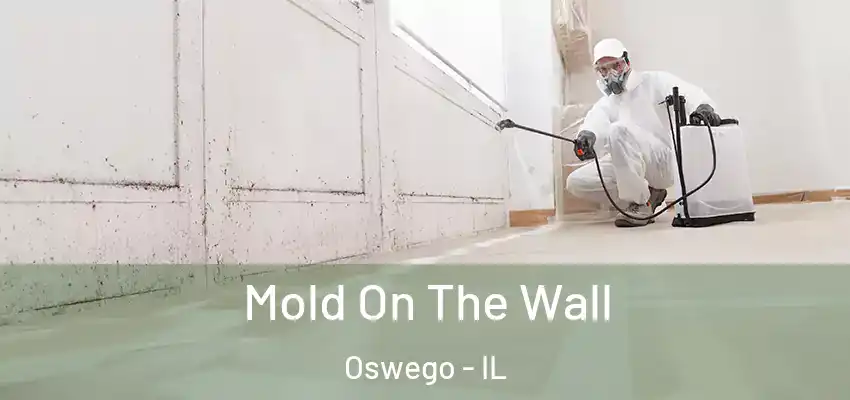  Mold On The Wall Oswego - IL