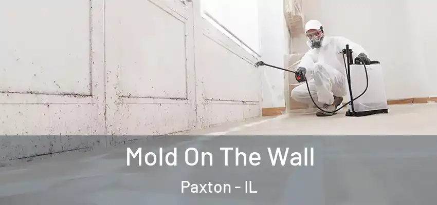  Mold On The Wall Paxton - IL