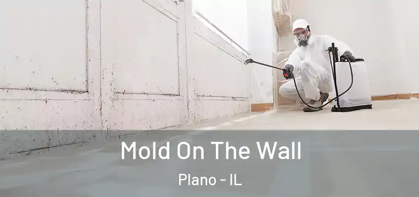  Mold On The Wall Plano - IL