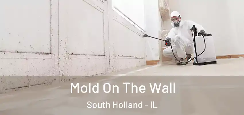  Mold On The Wall South Holland - IL
