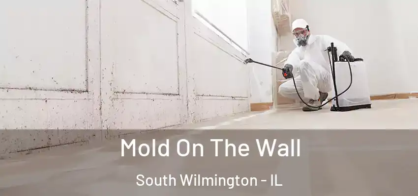  Mold On The Wall South Wilmington - IL