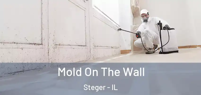  Mold On The Wall Steger - IL
