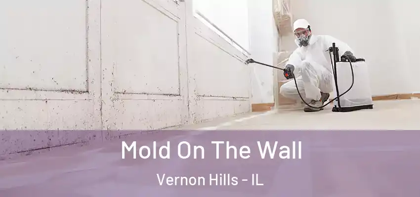  Mold On The Wall Vernon Hills - IL