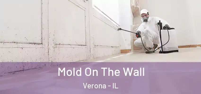  Mold On The Wall Verona - IL