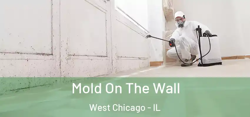  Mold On The Wall West Chicago - IL
