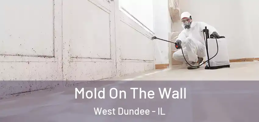 Mold On The Wall West Dundee - IL
