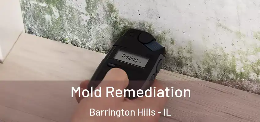  Mold Remediation Barrington Hills - IL