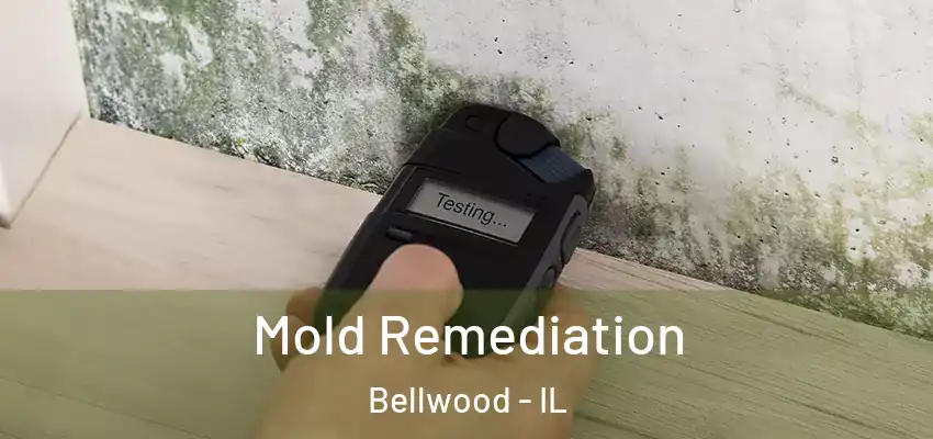  Mold Remediation Bellwood - IL