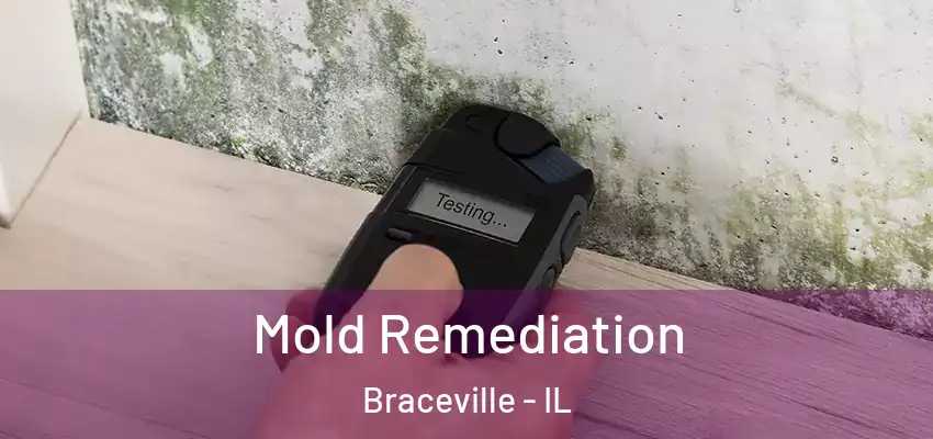  Mold Remediation Braceville - IL