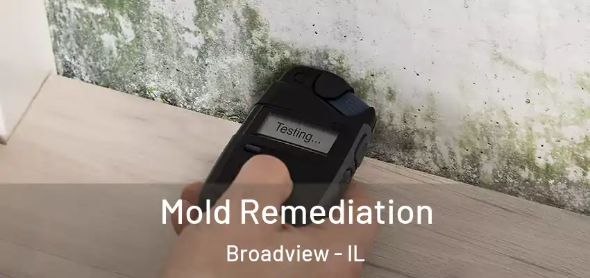  Mold Remediation Broadview - IL