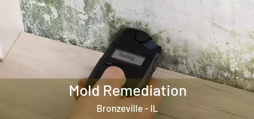  Mold Remediation Bronzeville - IL