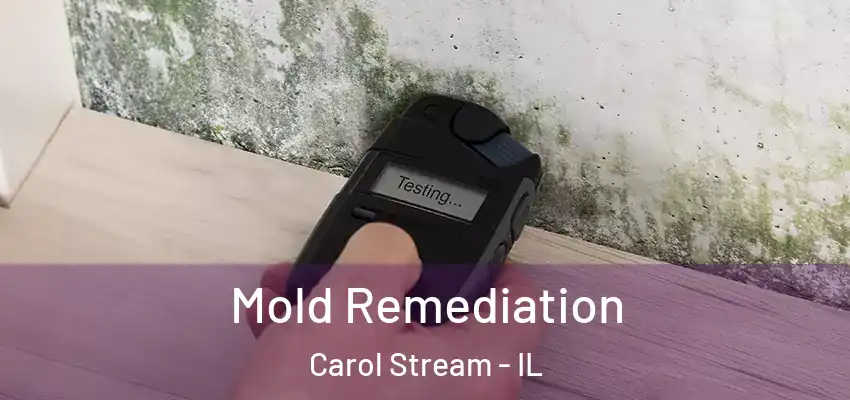  Mold Remediation Carol Stream - IL