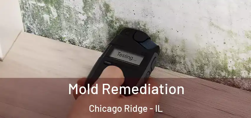 Mold Remediation Chicago Ridge - IL