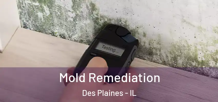  Mold Remediation Des Plaines - IL