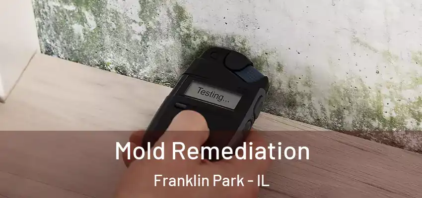  Mold Remediation Franklin Park - IL