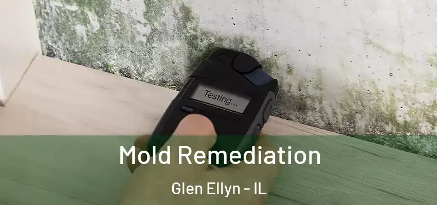  Mold Remediation Glen Ellyn - IL