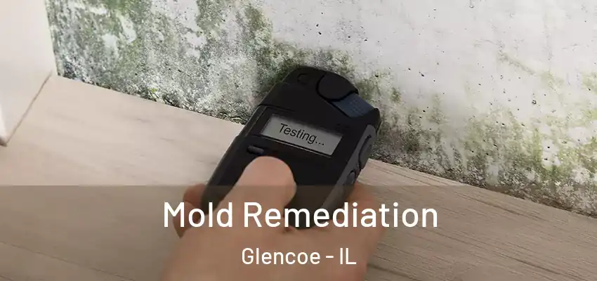  Mold Remediation Glencoe - IL