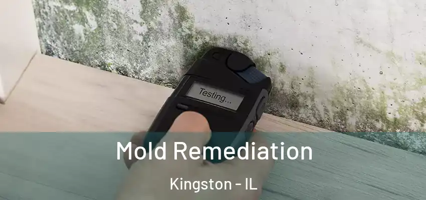  Mold Remediation Kingston - IL