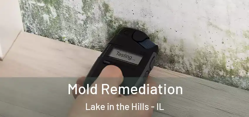 Mold Remediation Lake in the Hills - IL