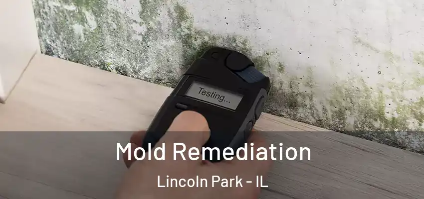 Mold Remediation Lincoln Park - IL