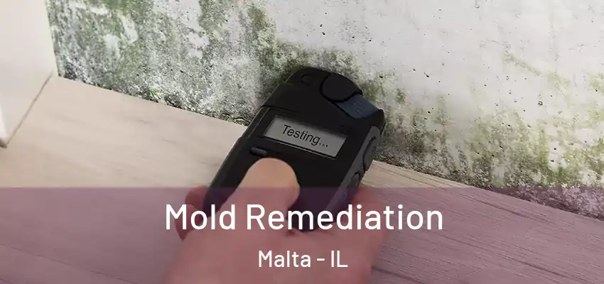  Mold Remediation Malta - IL
