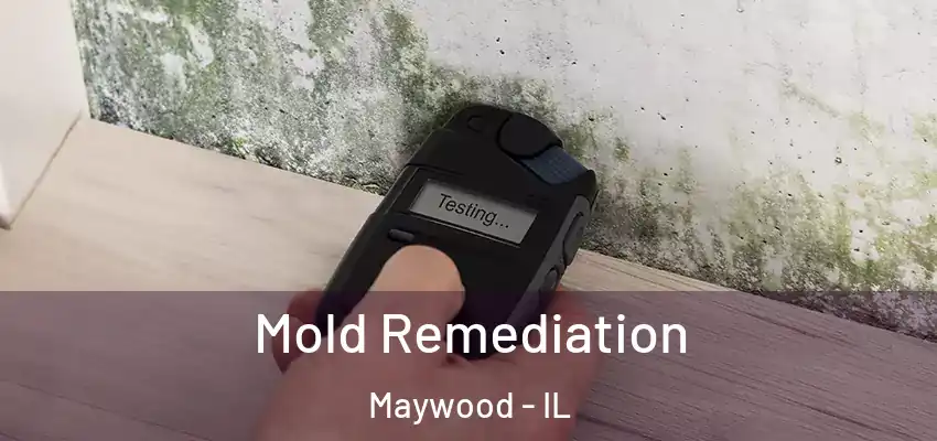  Mold Remediation Maywood - IL