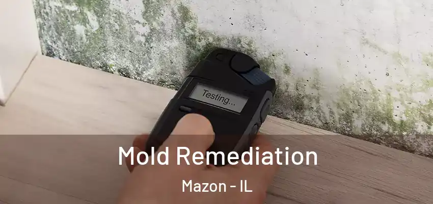  Mold Remediation Mazon - IL