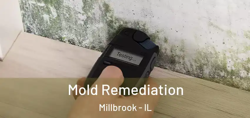  Mold Remediation Millbrook - IL