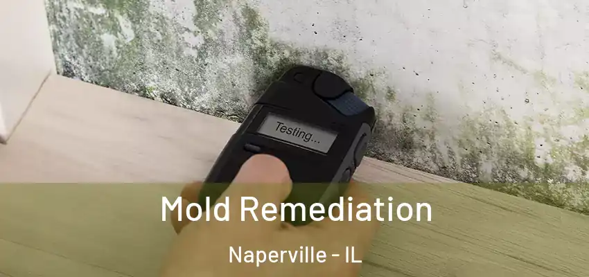  Mold Remediation Naperville - IL