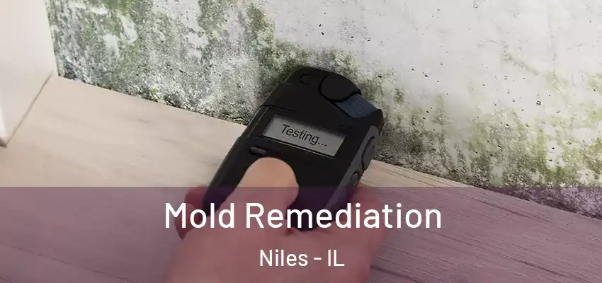  Mold Remediation Niles - IL
