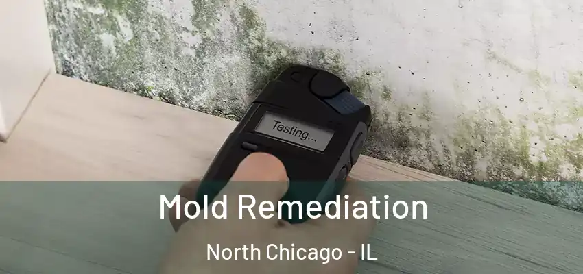  Mold Remediation North Chicago - IL