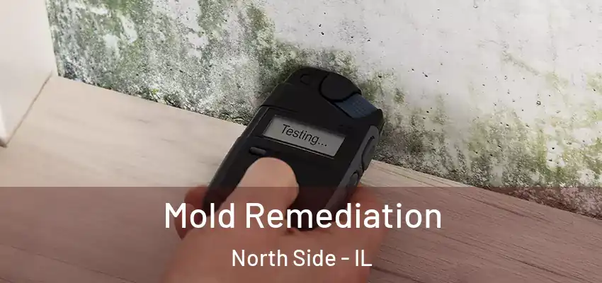  Mold Remediation North Side - IL