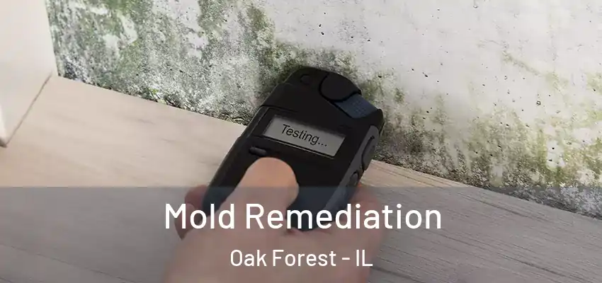  Mold Remediation Oak Forest - IL