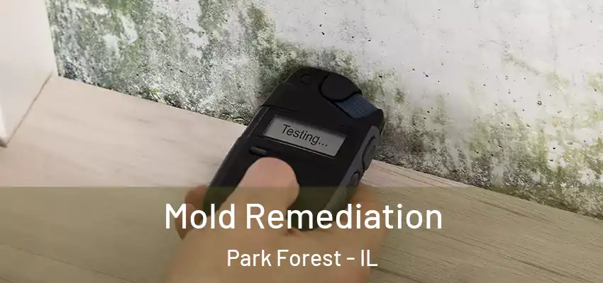  Mold Remediation Park Forest - IL