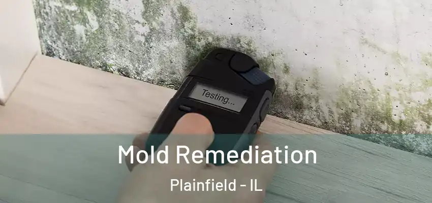  Mold Remediation Plainfield - IL