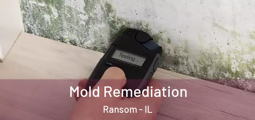  Mold Remediation Ransom - IL