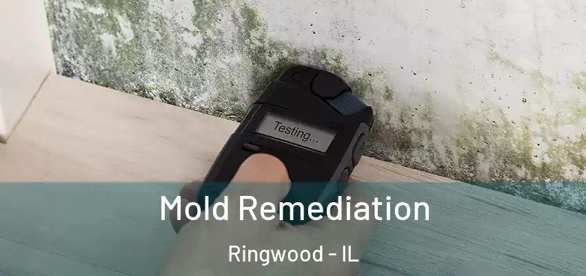  Mold Remediation Ringwood - IL