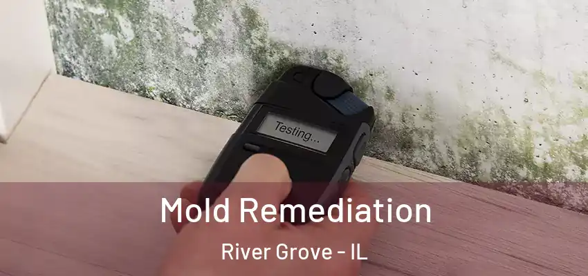  Mold Remediation River Grove - IL