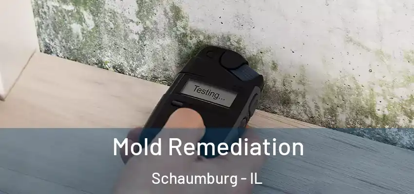  Mold Remediation Schaumburg - IL
