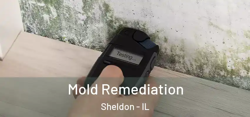  Mold Remediation Sheldon - IL