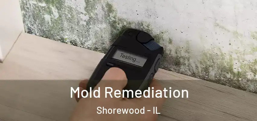  Mold Remediation Shorewood - IL