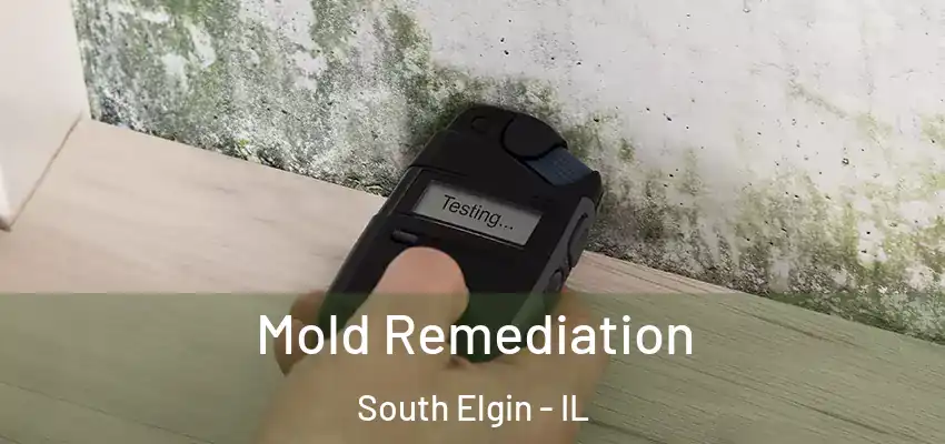  Mold Remediation South Elgin - IL