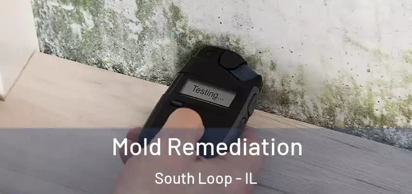  Mold Remediation South Loop - IL
