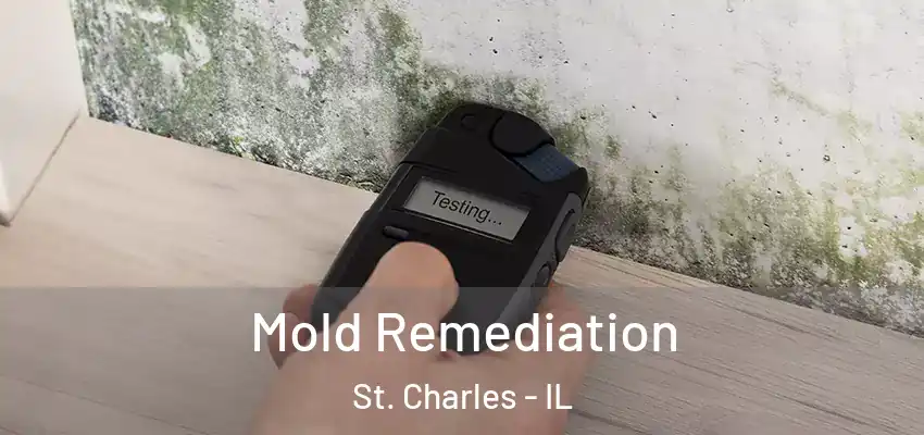  Mold Remediation St. Charles - IL